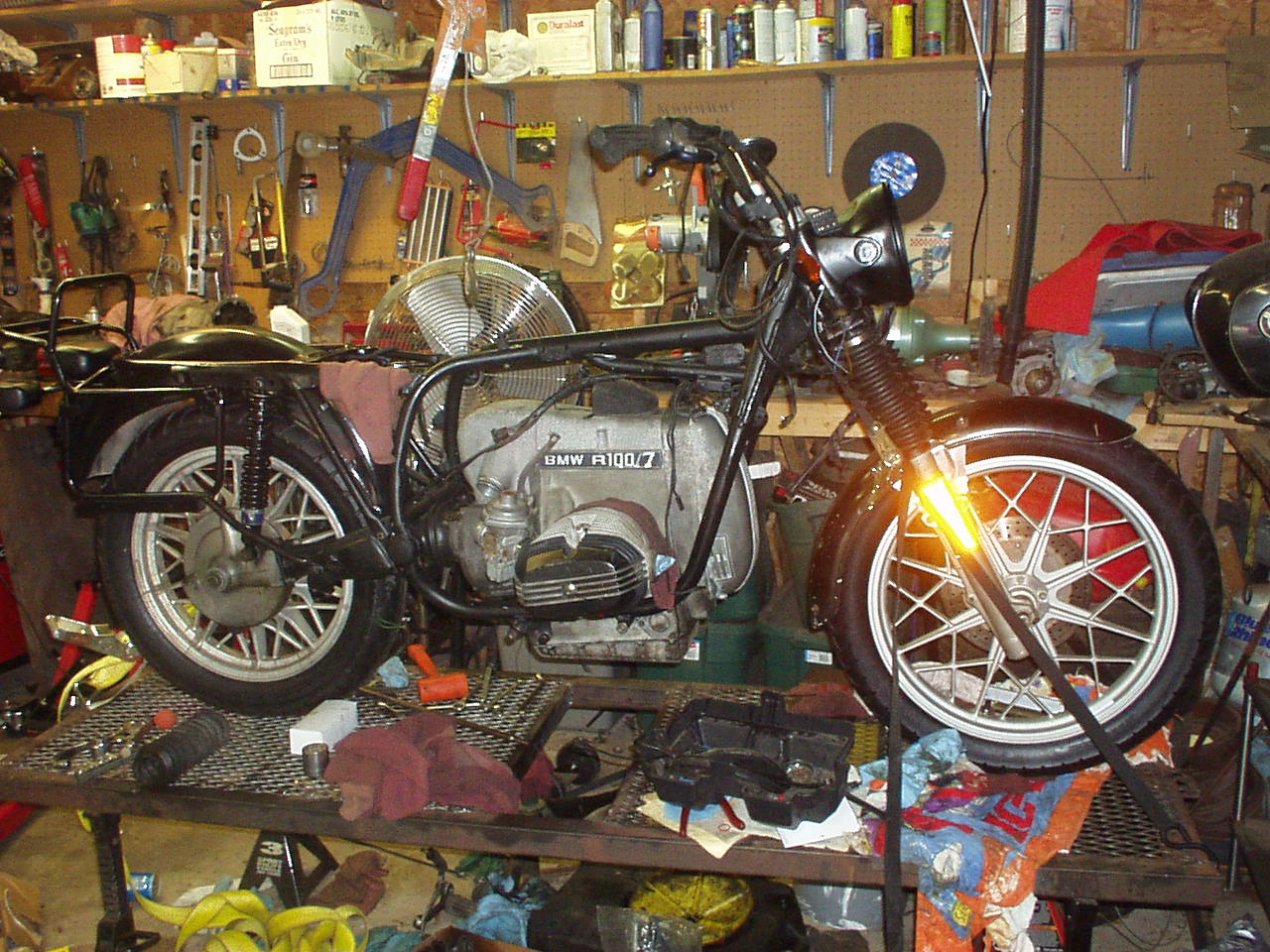 P1010005.JPG