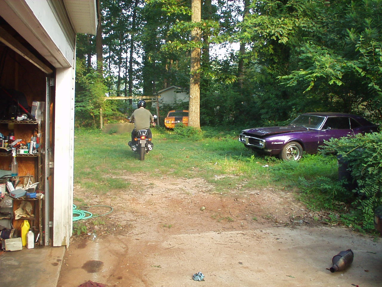 P1010011.JPG