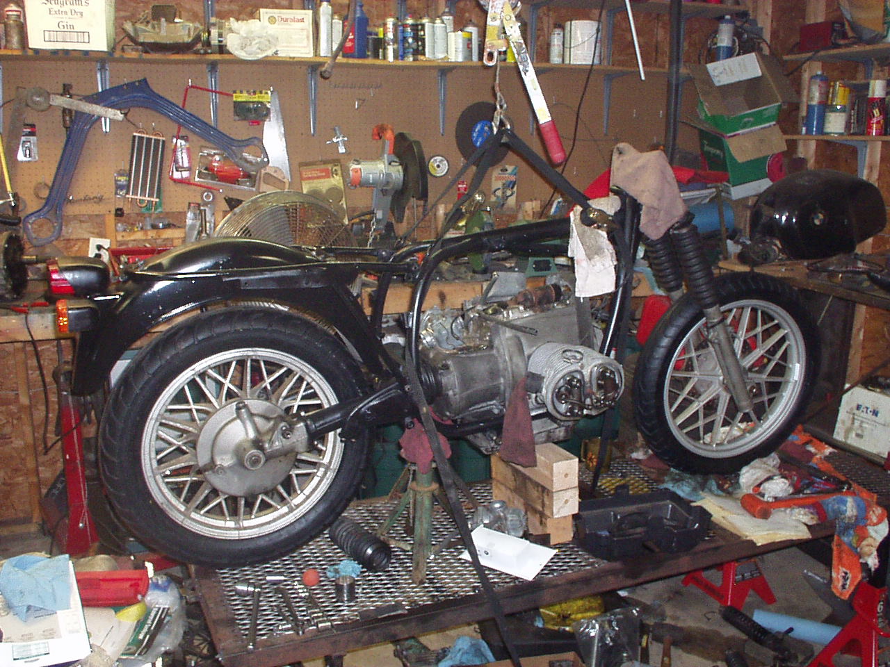 P1010003.JPG
