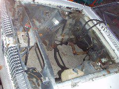P1010007.JPG